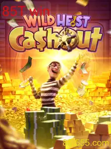 WildHeistCashout